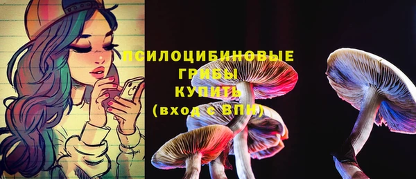 ПСИЛОЦИБИНОВЫЕ ГРИБЫ Армянск